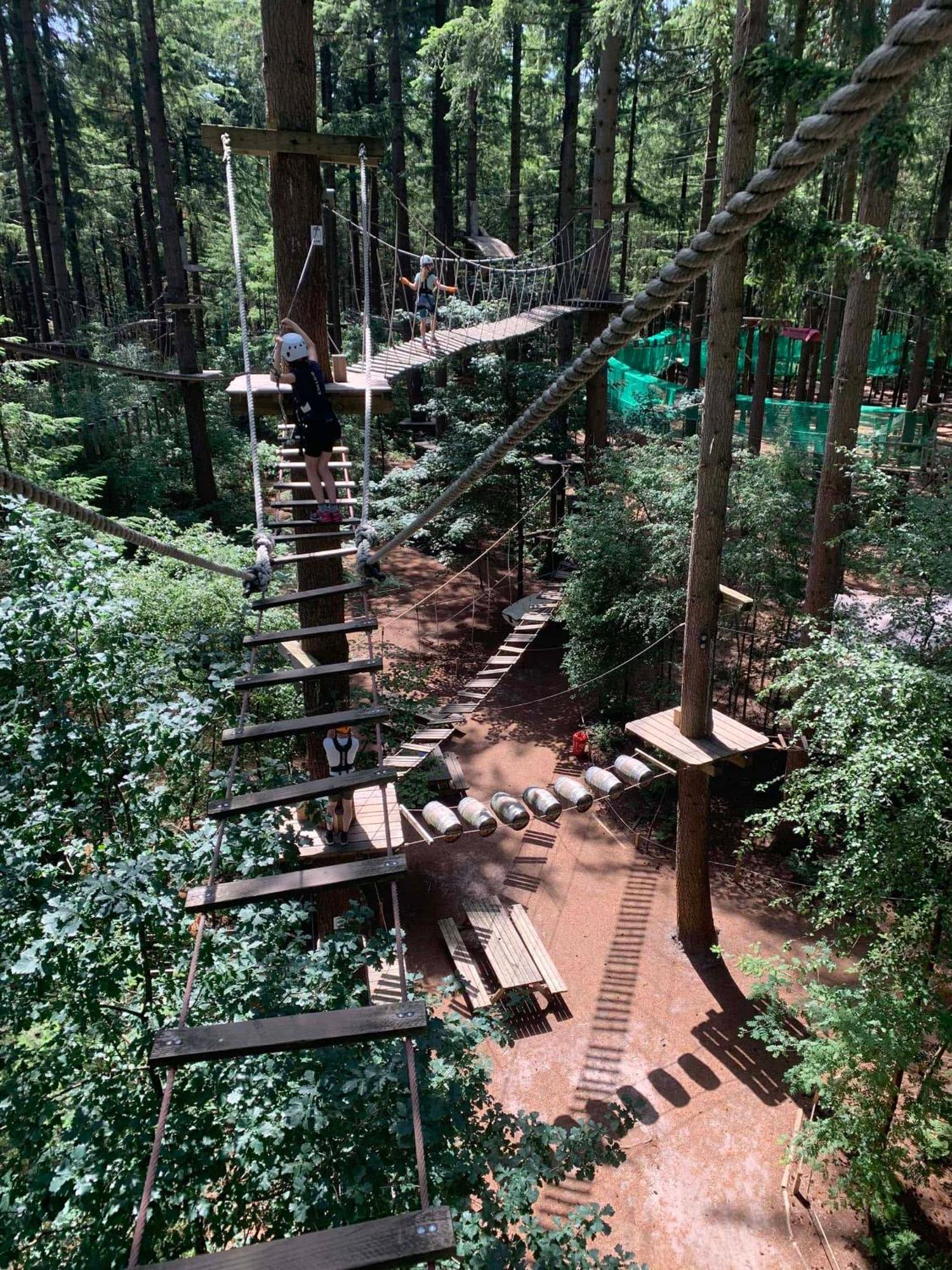 Top Luxe Chalet - Kindvriendelijk - Bos En Heide ハルデルウェイク エクステリア 写真