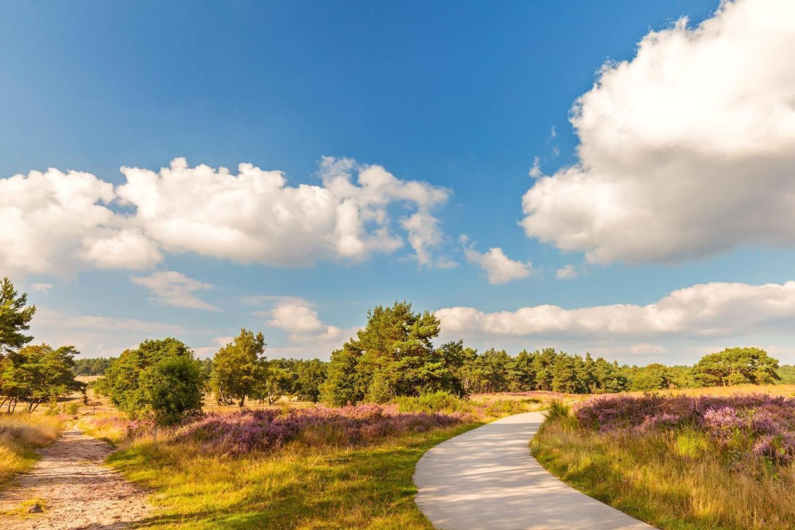 Top Luxe Chalet - Kindvriendelijk - Bos En Heide ハルデルウェイク エクステリア 写真